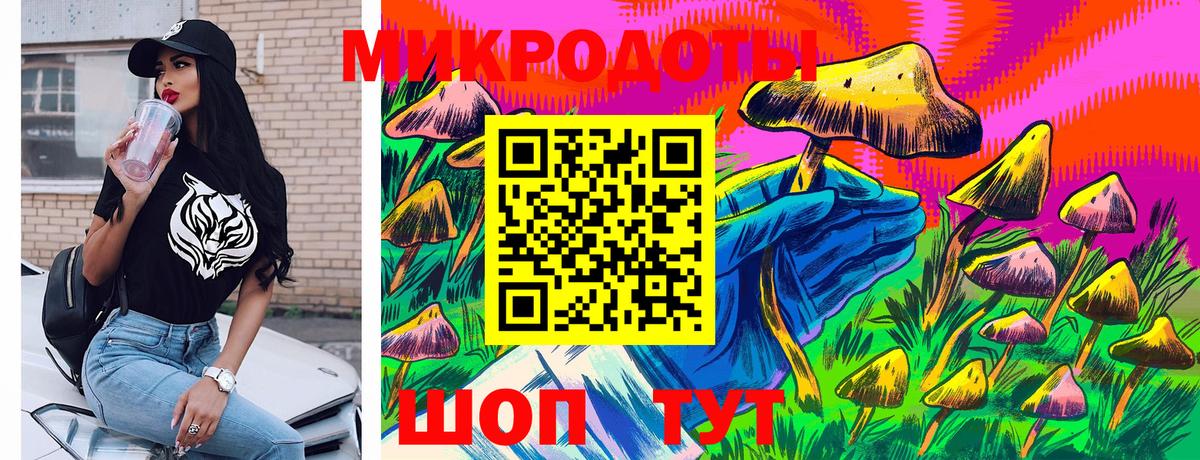 Абинск  Псилоцибиновые грибы MAGIC MUSHROOMS  Вход с VPN  Галлюциногенные грибы Psilocybine cubensis 