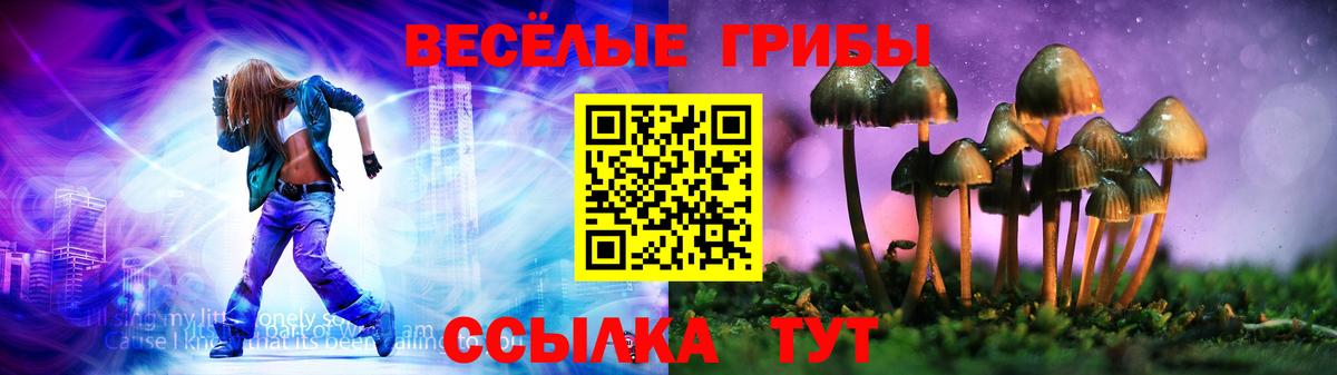 Галлюциногенные грибы Magic Shrooms Абинск